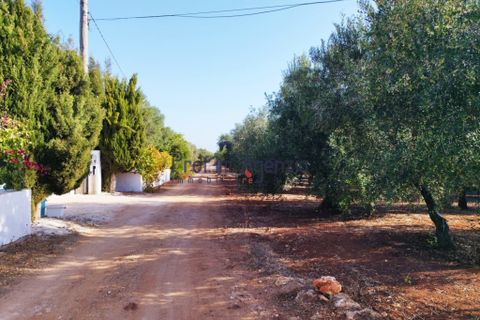 Landejendom i Carovigno, Brindisi, Carovigno - € 140.000 | Ref: 122621 - foto 10